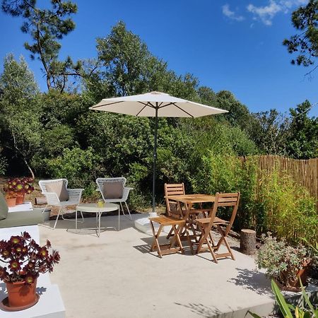 Quinta Do Alento Bed & Breakfast Sesimbra Luaran gambar