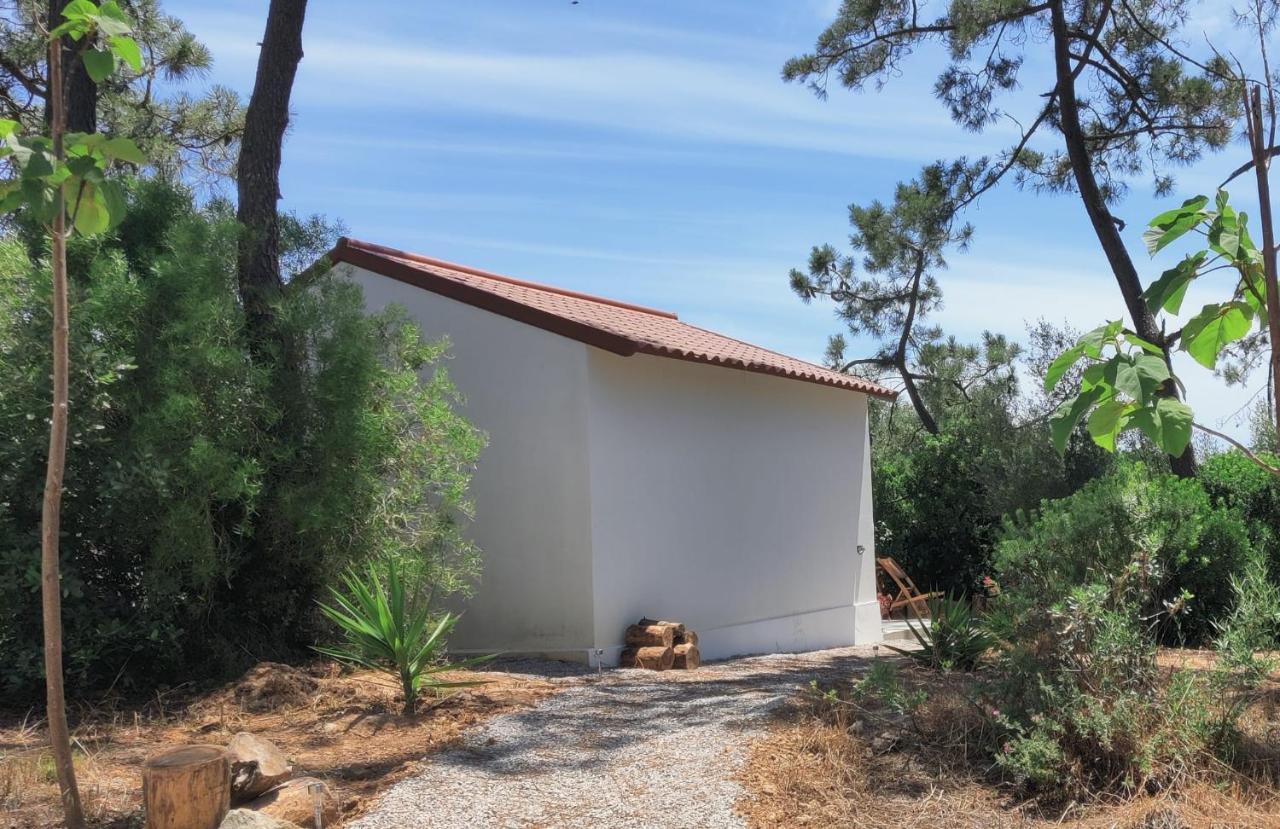 Quinta Do Alento Bed & Breakfast Sesimbra Luaran gambar